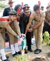 एनसीसी के महानिदेशक ने किया वृक्षारोपण