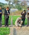 सीएसआईआर में पुष्प कृषि