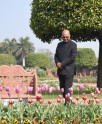 मुगल गार्डन में रंग-बिरंगे फूलों की छटा