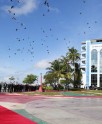 मोदी का मालदीव में रस्मी स्वागत