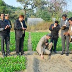 सीएसआईआर में पुष्प कृषि