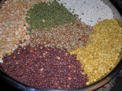 monitoring, rice, wheat,