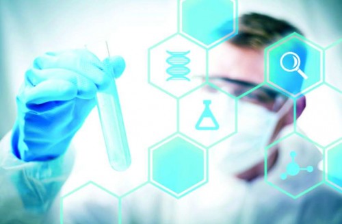 fellowship in research increased