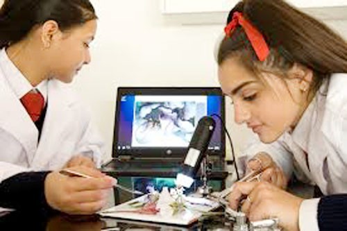 women, science education
