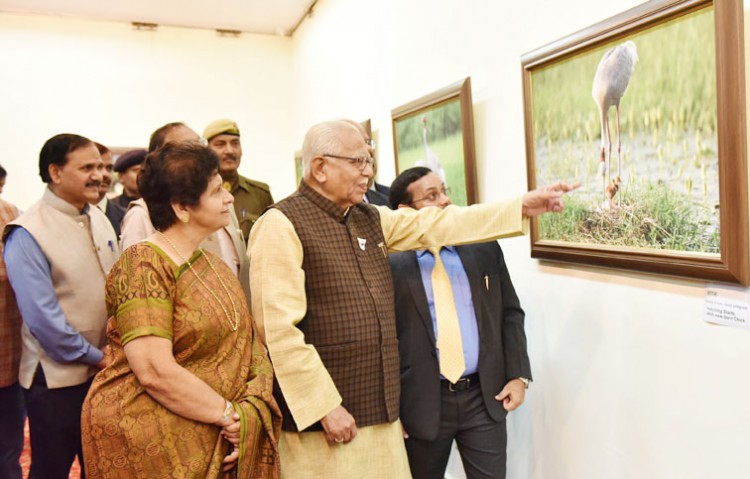 gallery of exhibitions 'wilderness on canvas'