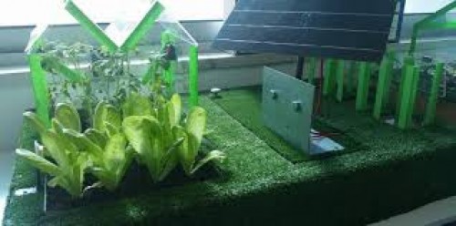 new technology in horticulture