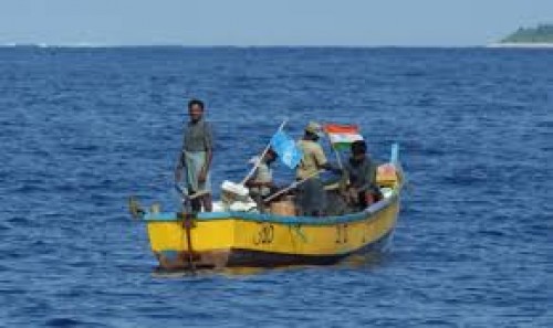 fish boats