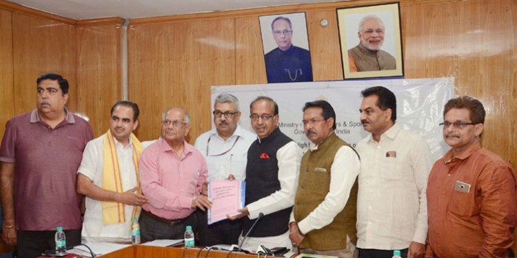 high-level committee reports submitted to sports minister