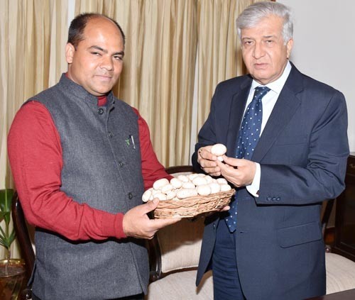 mushroom farming in the raj bhavan of uttarakhand