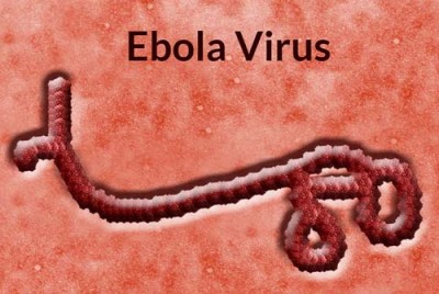 ebola virus