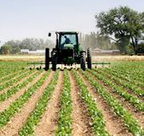 agrarian reform