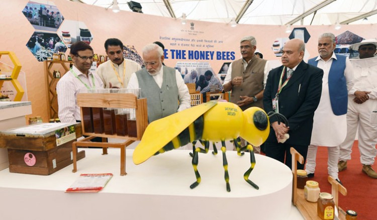 narendra modi visiting theme pavilion at krishi unnati mela, in new delhi