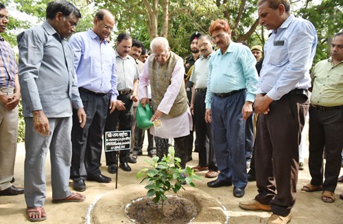 governor ram naik planted gandharaj plant