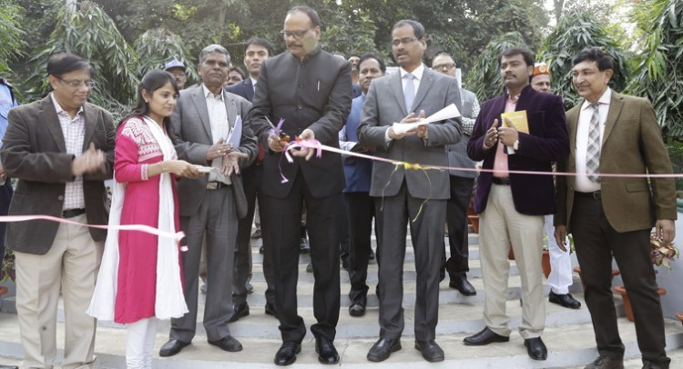 nbri lucknow, guladuddi and koliyas flower exhibition