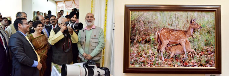 वन्यजीवों व पक्षियों पर प्रदर्शनी