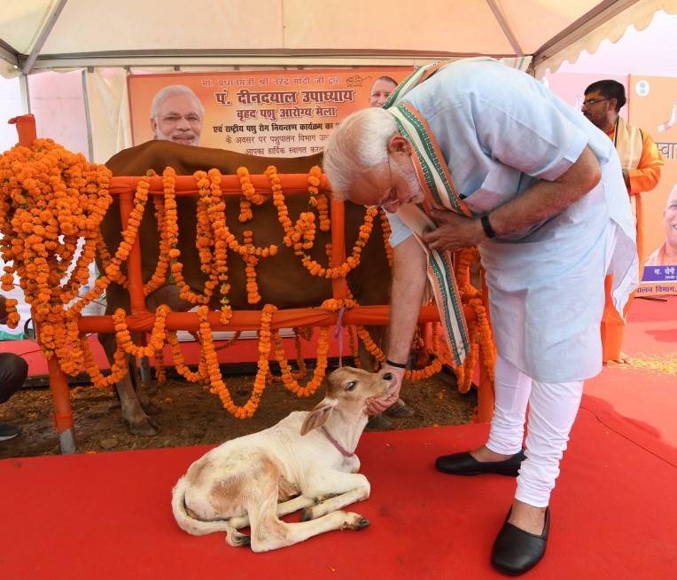 गाय के बछड़े को दुलराते मोदी