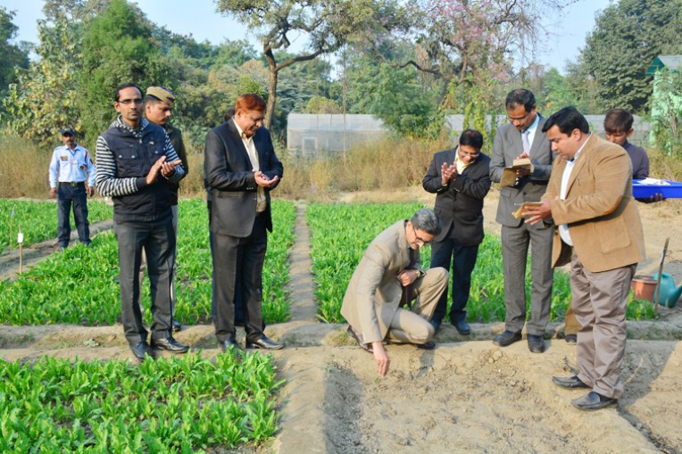 सीएसआईआर में पुष्प कृषि