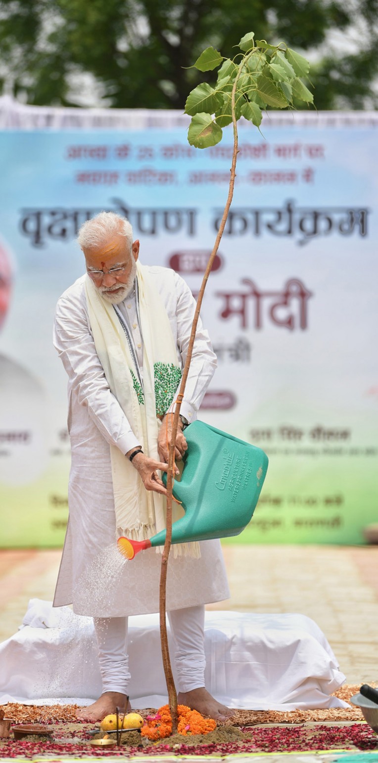 प्रधानमंत्री का वृक्षारोपण अभियान